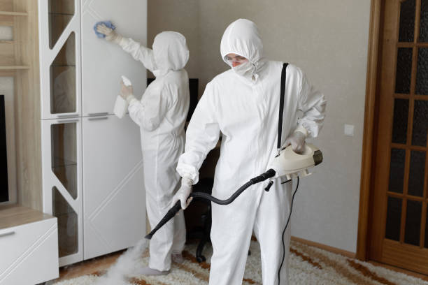 Best HVAC Mold Remediation in Angwin, CA
