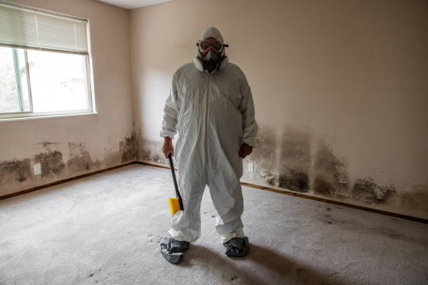 Best Post-Remediation Services in Angwin, CA